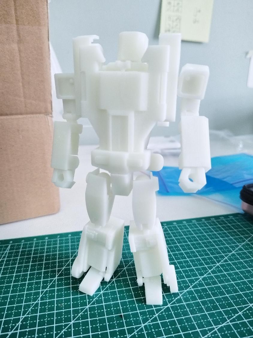 3D printed structure model